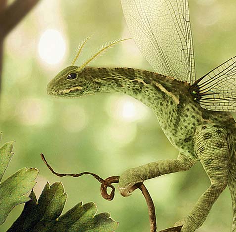 在线DDOS攻击平台