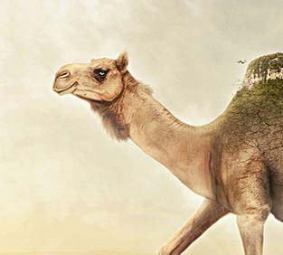 2024年最新版免费的免费ddos平台攻击